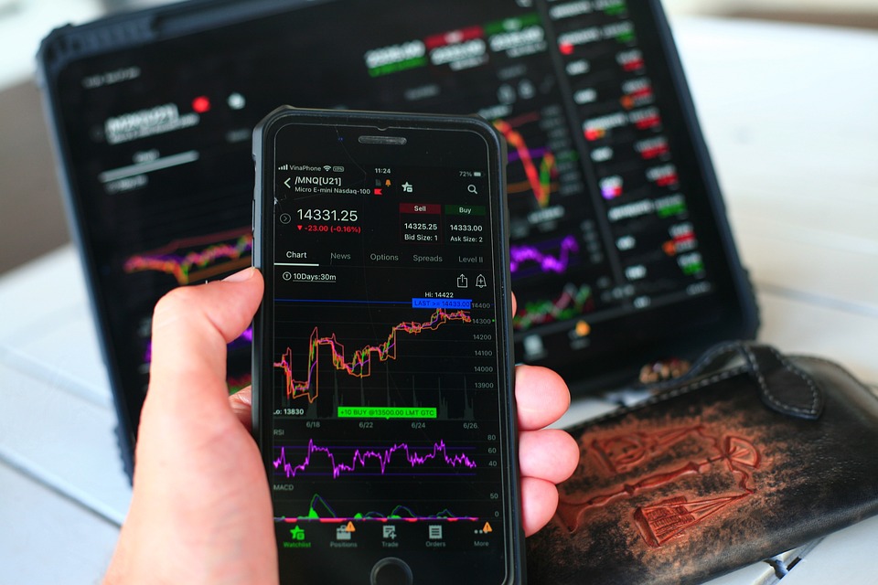 Analyzing the Numbers: Performance Analysis of Australian Stock Investments